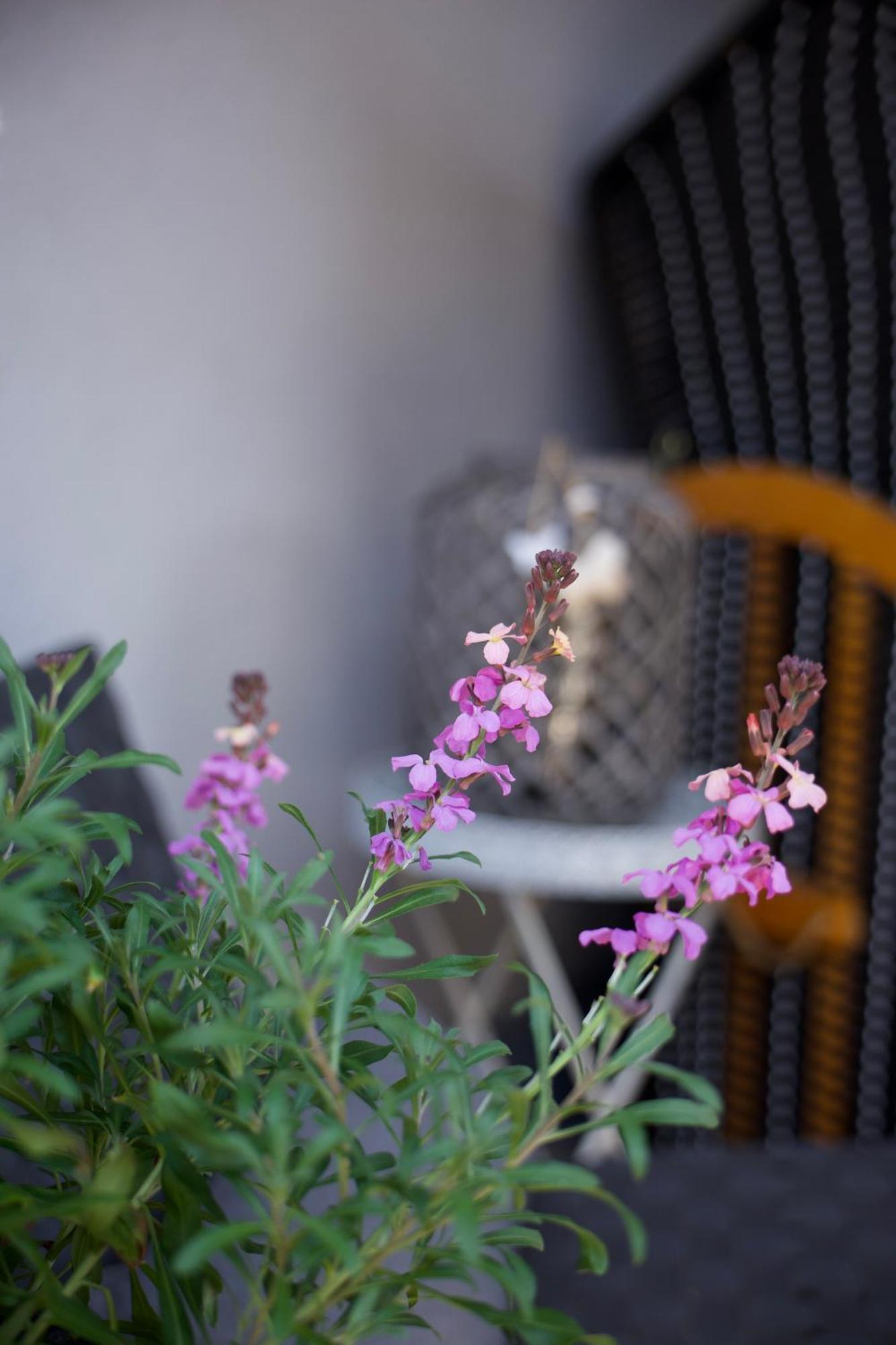 Charmantes Luxus Maisonette- Apartement バート・ヘルスフェルト エクステリア 写真